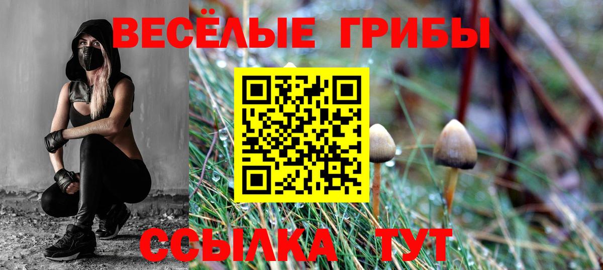 Галлюциногенные грибы ЛСД Владикавказ
