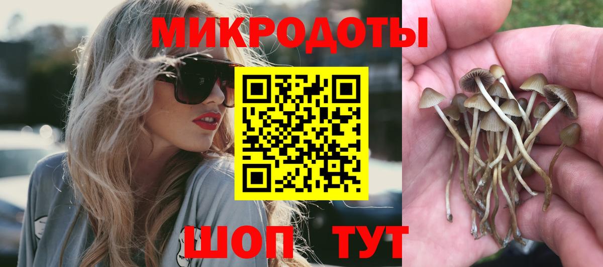 Галлюциногенные грибы Magic Shrooms  Вход с VPN  Владикавказ 